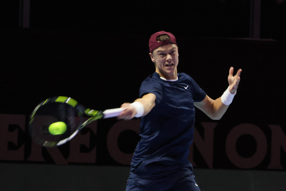 才不会演变 才不会演变