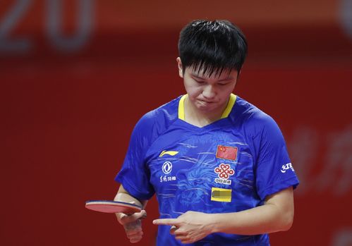 关键进化 关键进化